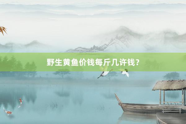 野生黄鱼价钱每斤几许钱？