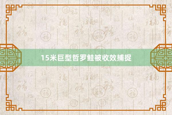 15米巨型哲罗鲑被收效捕捉